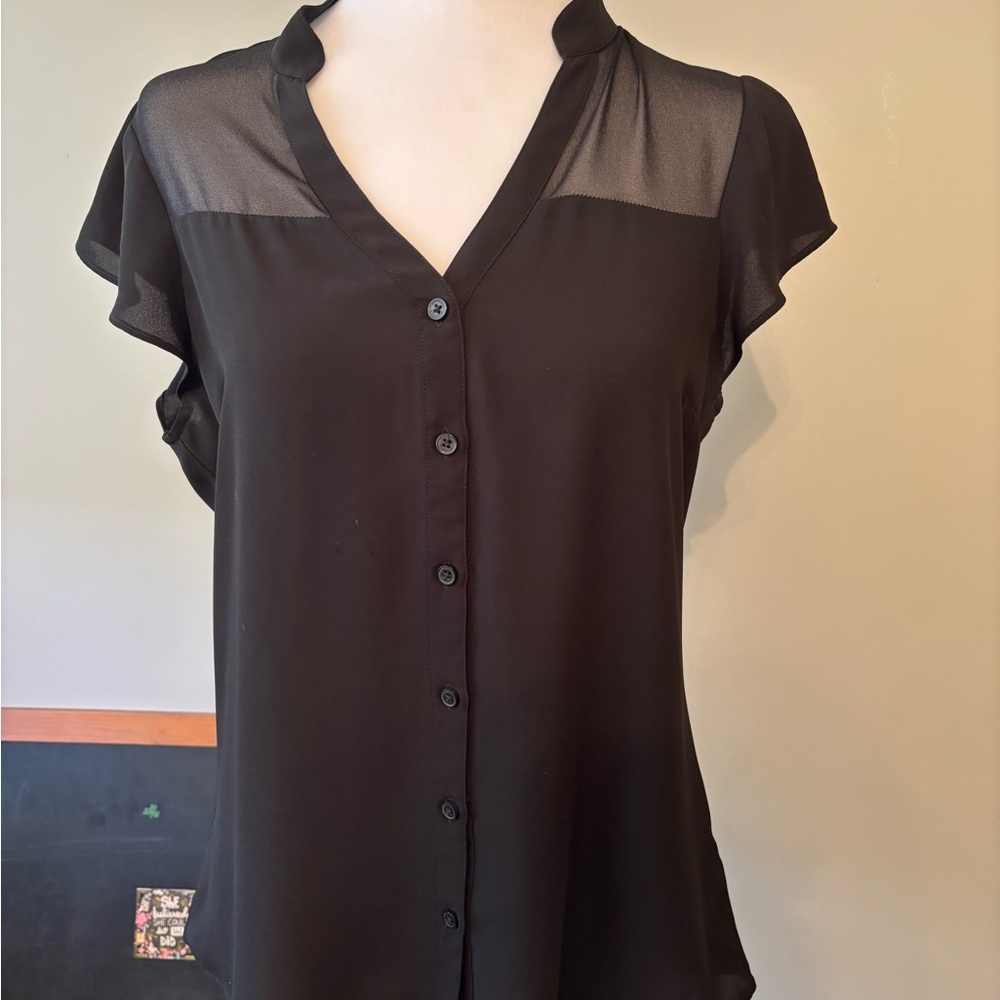 Express Black Flutter Sleeve Blouse with Mandarin Collar